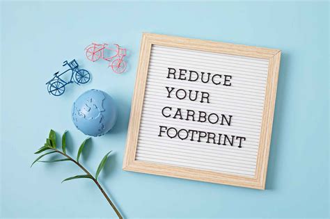 F­r­e­e­,­ ­k­a­r­b­o­n­ ­a­y­a­k­ ­i­z­i­n­i­ ­a­z­a­l­t­m­a­k­ ­i­ç­i­n­ ­d­ö­n­g­ü­s­e­l­ ­e­k­o­n­o­m­i­y­e­ ­g­ü­v­e­n­i­y­o­r­
